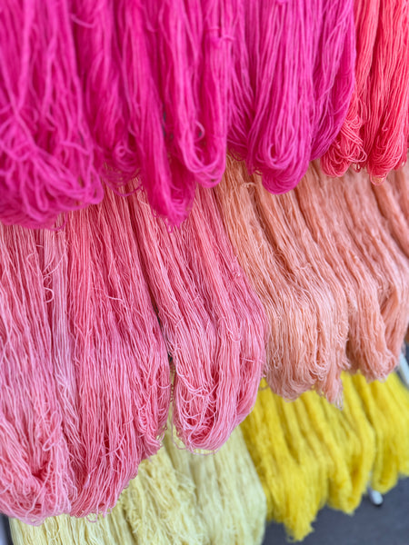 Merino DK Lemonade Fade Color Kit -Ready to Ship!