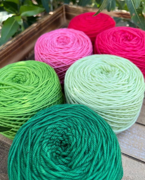 Merino DK Watermelon Sugar Color Kit -Ready to Ship!