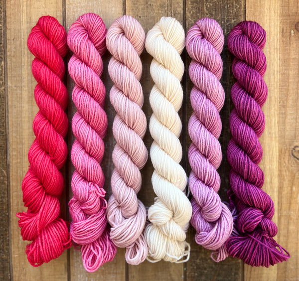 PREORDER! Lovebird Lane Sock Mini Skein Set-January 31st!