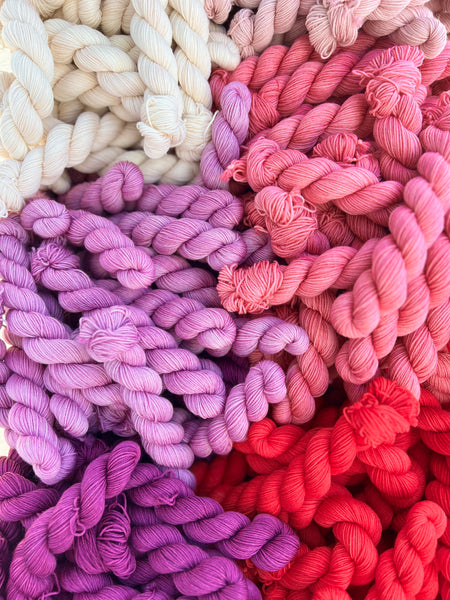 PREORDER! Lovebird Lane Sock Mini Skein Set-January 31st!