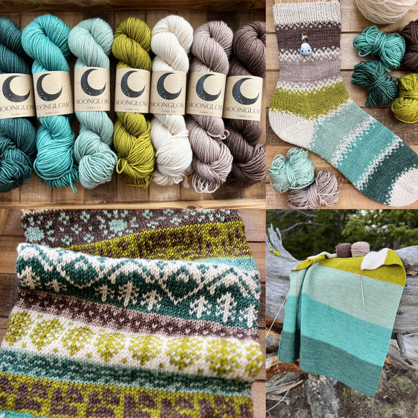 Merino DK Mountain Meadow Color Kit-Shipping by May 2nd!