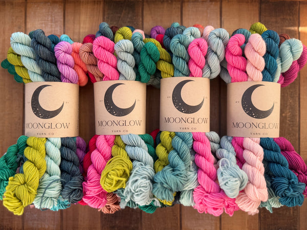 Merino Nylon Sock 160 gram Mini Skein Mystery Bundle-Ready to Ship!