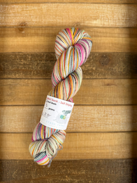 Self Striping Yarn Set #1: Personal Yarn Destash!