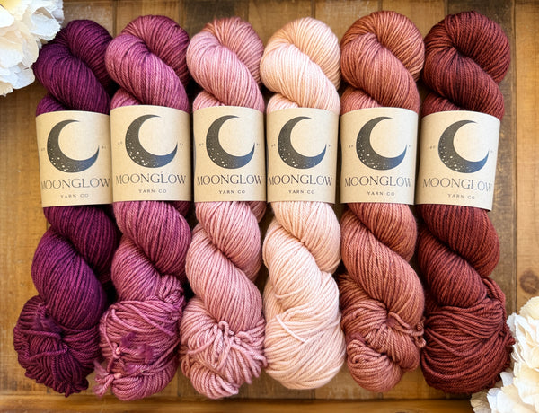 Merino DK Autumn Ember Color Kit -Ready to Ship!
