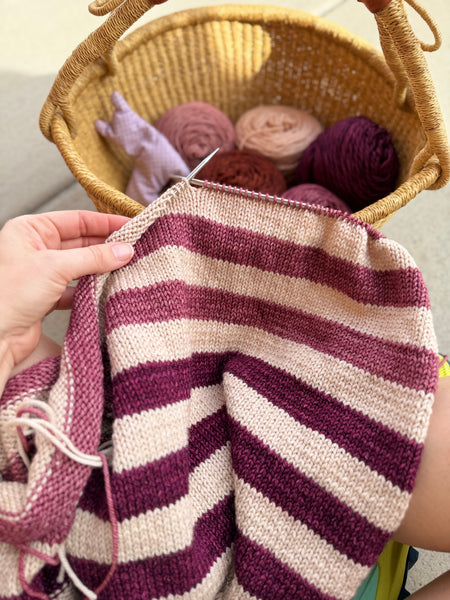 Merino DK Autumn Ember Color Kit -Ready to Ship!