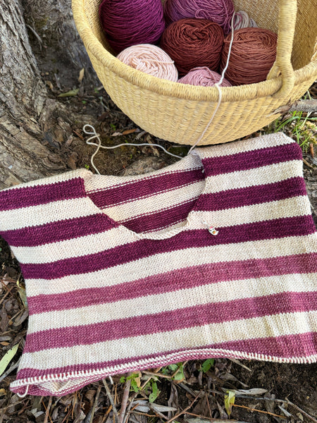 Merino DK Autumn Ember Color Kit -Ready to Ship!