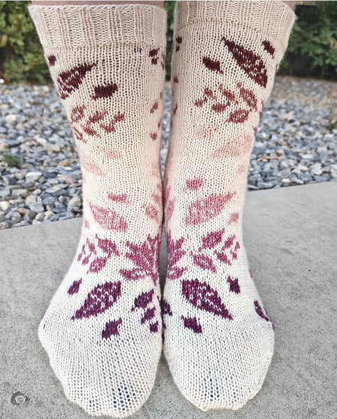 Autumn Ember Sock Set- Ready to Ship!