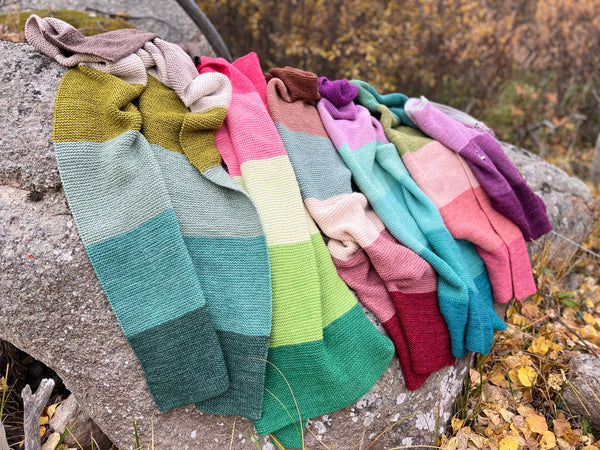 Merino DK Mountain Meadow Color Kit-Shipping March 1st!