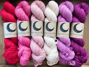 Merino Nylon Sock Lovebird Lane Color Kit-Shipping January 25!