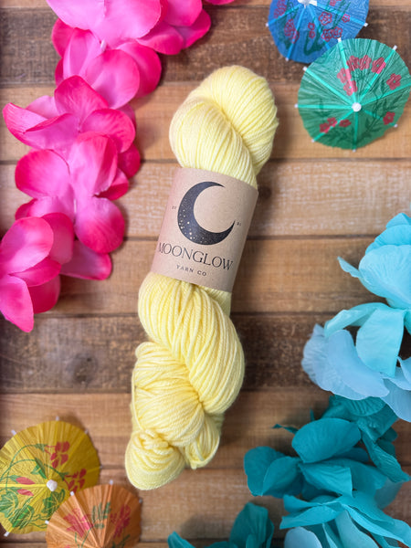 PREORDER! Merino Nylon Sock Pool Party Color Kit-Two Week Preorder!
