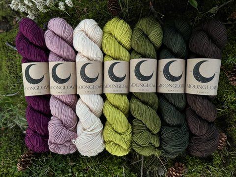 PREORDER Merino DK Woodland Witch Color Kit-Shipping by October 10th!