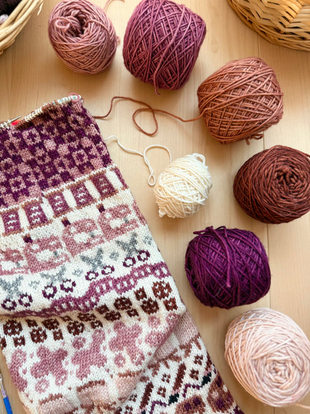 Merino DK Autumn Ember Color Kit -Ready to Ship!