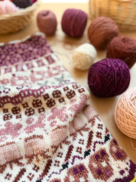 Merino DK Autumn Ember Color Kit -Ready to Ship!