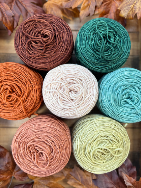 Merino DK Fall Festival Color Kit - Ready to Ship!