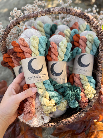 Fall Festival Sock Set-Ready to Ship!