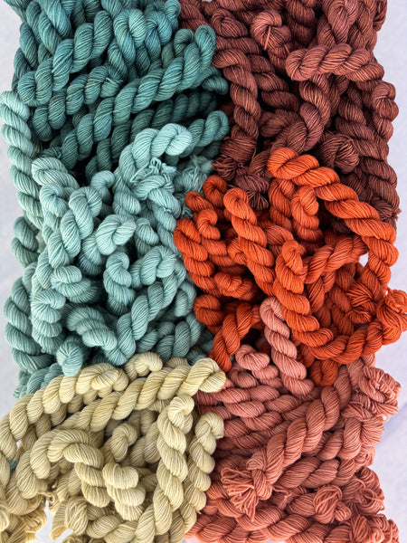 Fall Festival Sock Set-Ready to Ship!