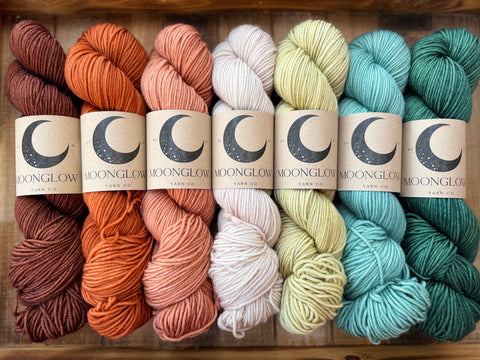 Merino Nylon Sock Fall Festival Color Kit