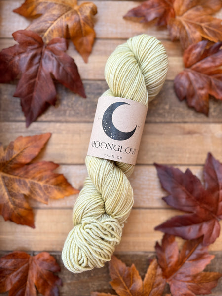 Merino DK Fall Festival Color Kit - Ready to Ship!