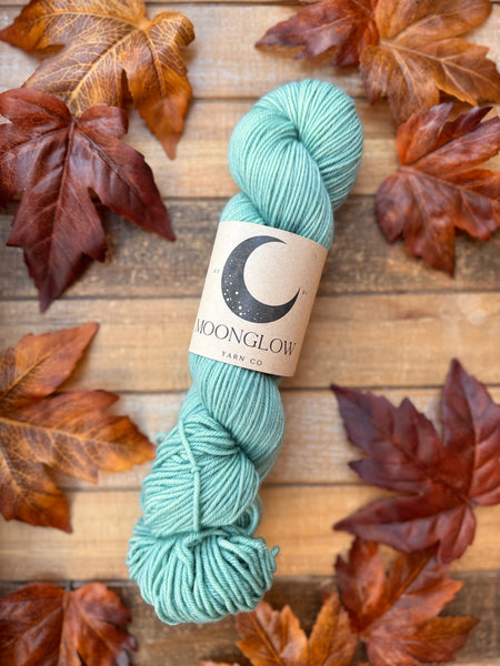 Merino DK Fall Festival Color Kit - Ready to Ship!