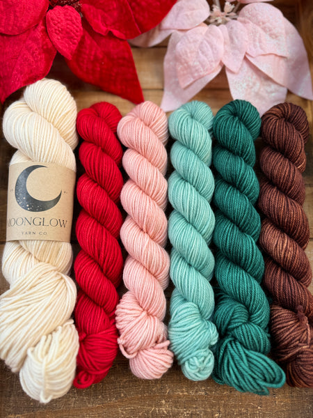 Merino DK Cozy Christmas Half Skein Kit- Ready to Ship!