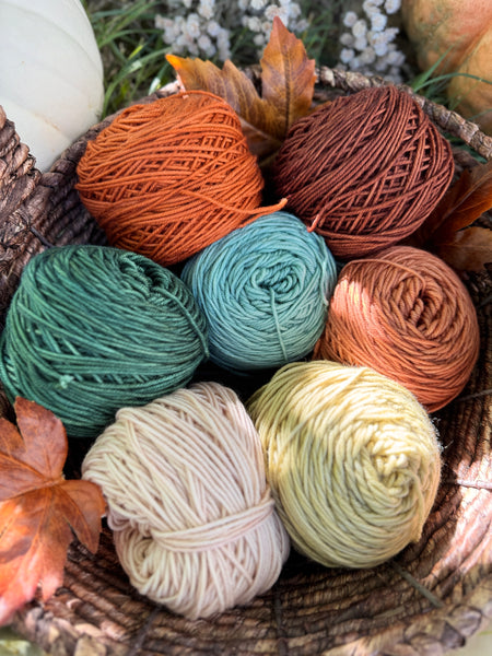 Merino DK Fall Festival Color Kit - Ready to Ship!