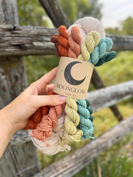 Fall Festival Sock Set-Ready to Ship!