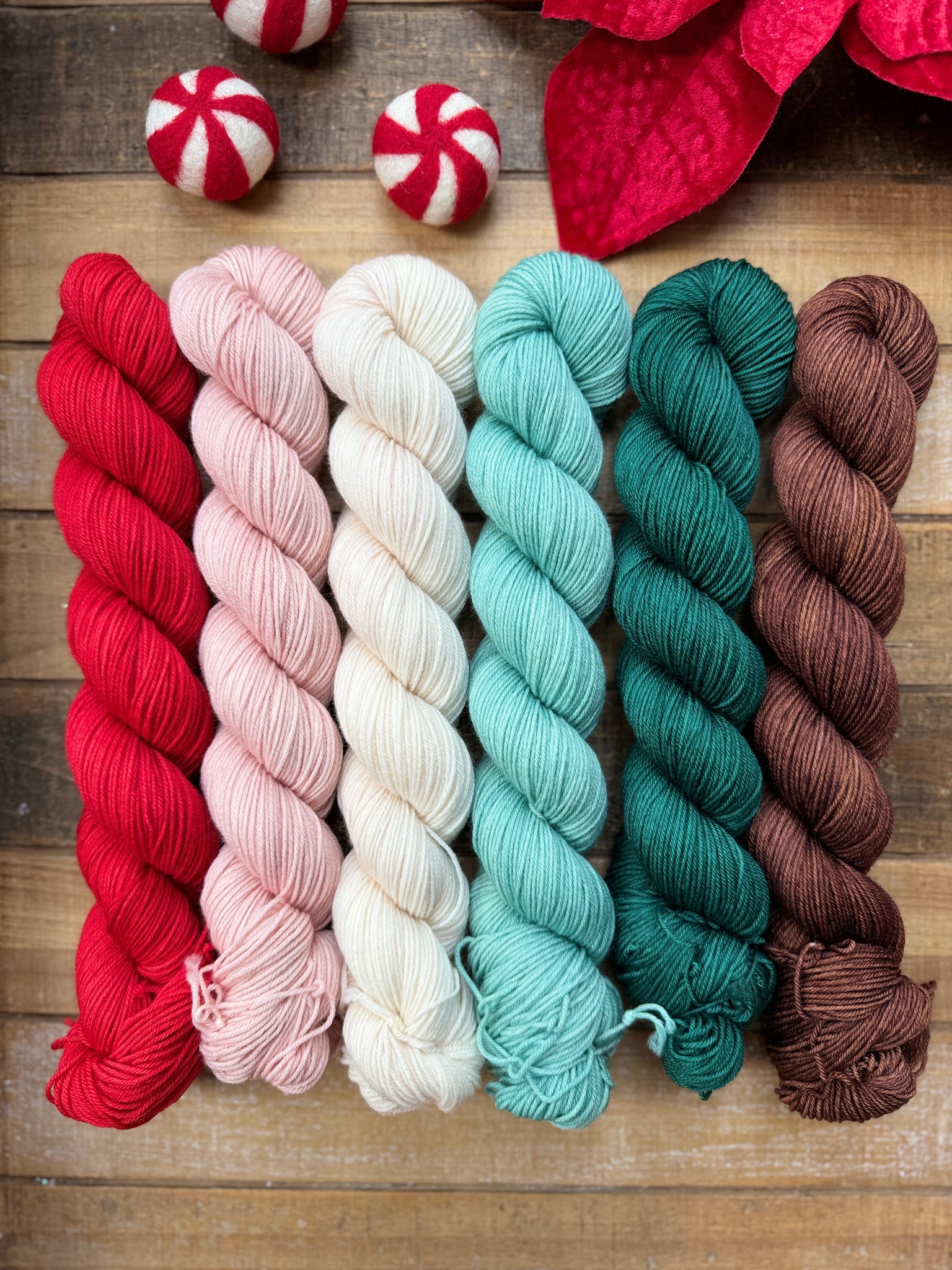 Merino Nylon Sock Cozy Christmas Half Skein Kit- Ready to Ship!