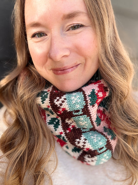 Merino DK Cozy Christmas Color Kit -Shipping by December 6th!