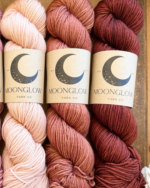 Merino DK Autumn Ember Color Kit -Ready to Ship!