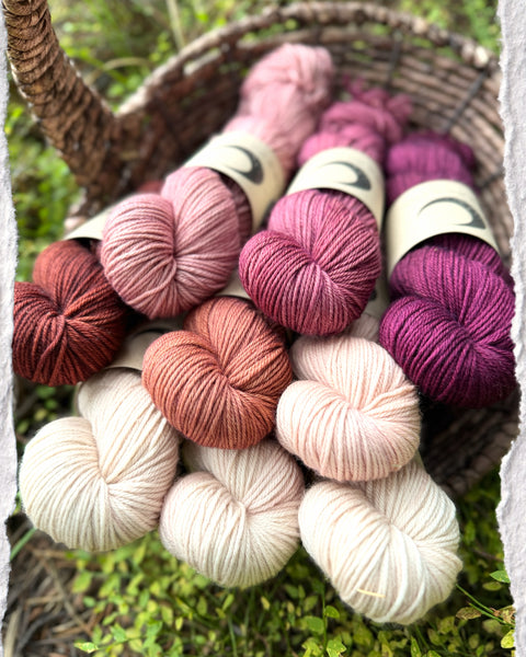 Merino DK Autumn Ember Color Kit -Ready to Ship!