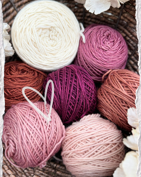 Merino DK Autumn Ember Color Kit -Ready to Ship!