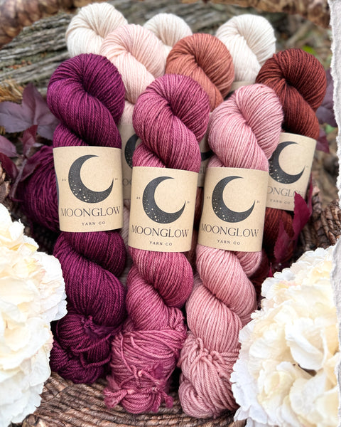 Merino DK Autumn Ember Color Kit -Ready to Ship!